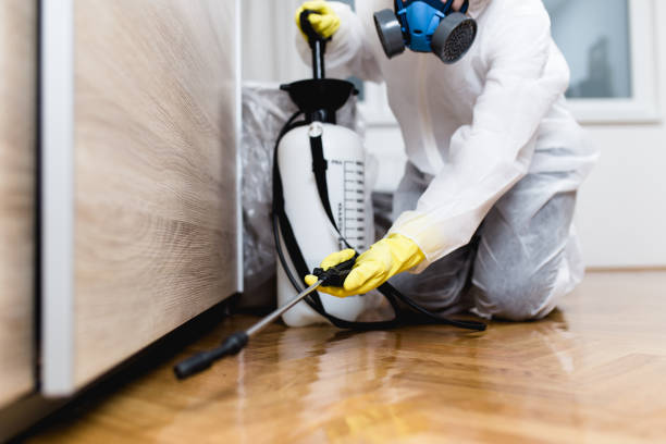 Best Local Pest Control Services  in Marble Falls, TX
