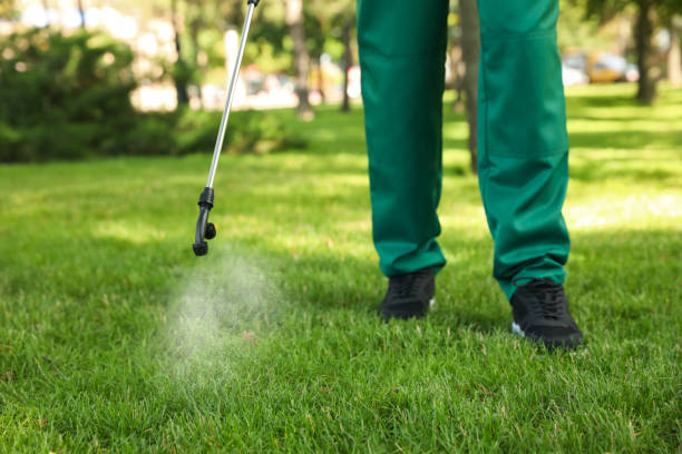 Best Rat Extermination Near Me  in Marble Falls, TX