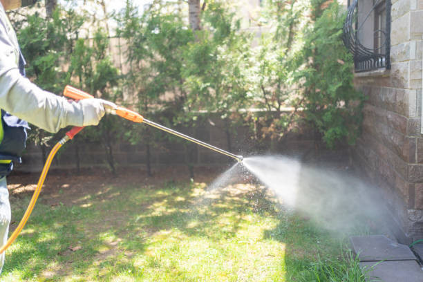 Pest Control Cost in Marble Falls, TX