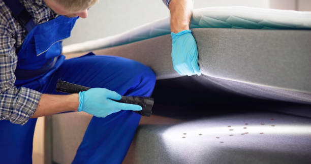 Best Pest Prevention Services  in Marble Falls, TX