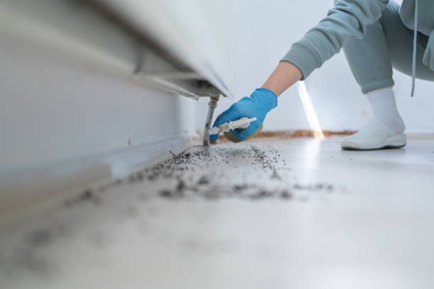 Best Best Pest Control Companies  in Marble Falls, TX