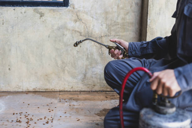Best Commercial Pest Control Services  in Marble Falls, TX